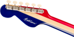Fender Buck Owens Kingman - immagine 7