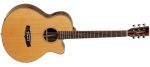 Tanglewood TWJSF-CE Java Natural Gloss