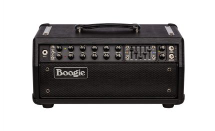 Mesa Boogie Mark Five 35 Head Usato