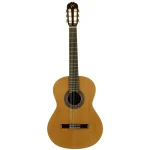Jose Torres JTC-10 + GigBag JTB-10 - immagine 2