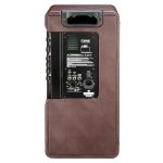 Laney A-Duo Acoustic Amp - immagine 2