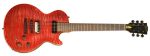 Gibson Les Paul BFG 2007 Usato