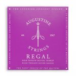 Augustine Regal Blue - immagine 2